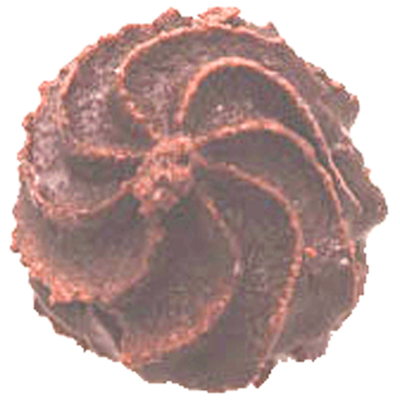 BACI D'ALASSIO KG.1 PALPELLA